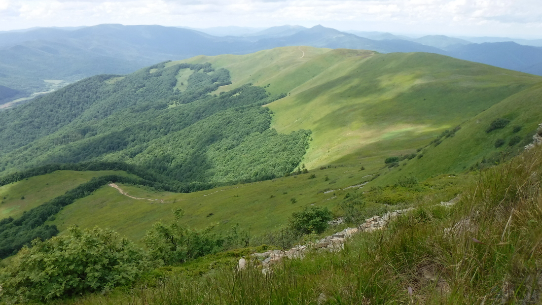 Sportsmen and Ecologists