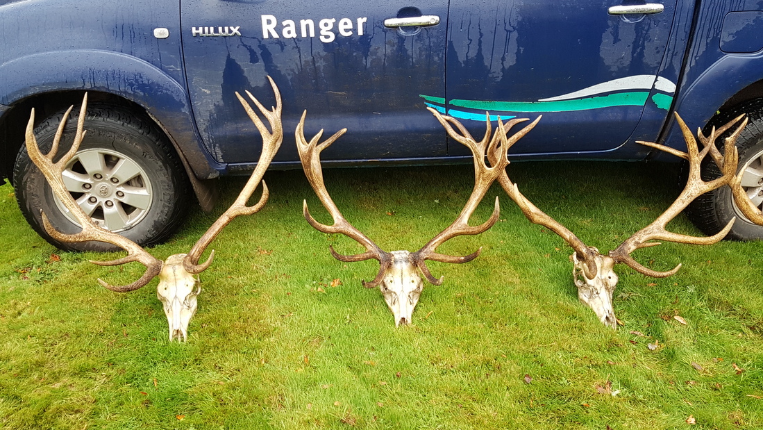 Episode 24: Deer Hunting with Paul Dowling