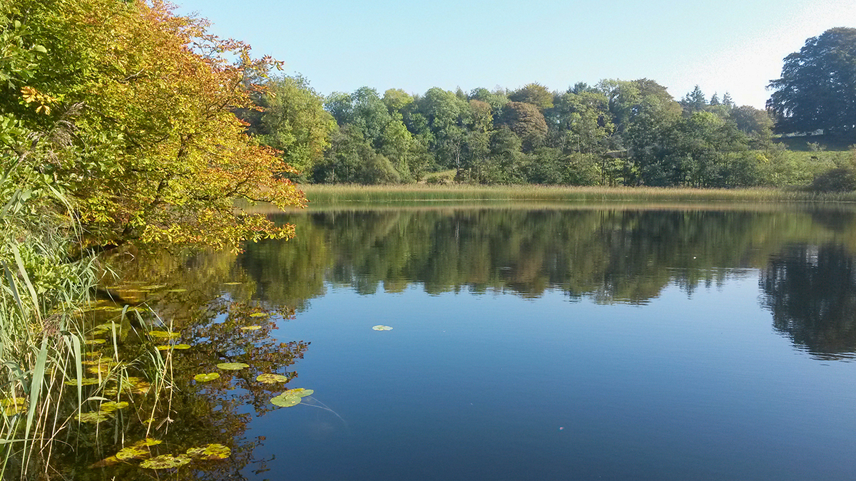 132: Freshwater Lakes with Frances Lucy and Joerg Arnscheidt
