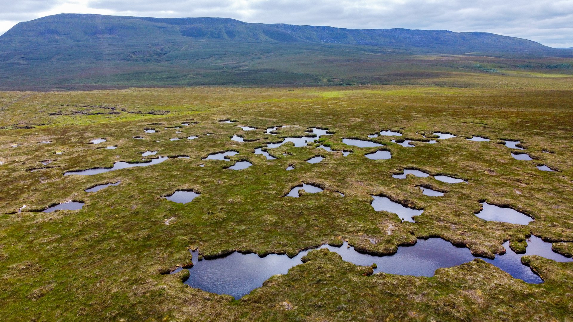 133: Blanket Bog with Roisin Grimes and Paul Sherlock