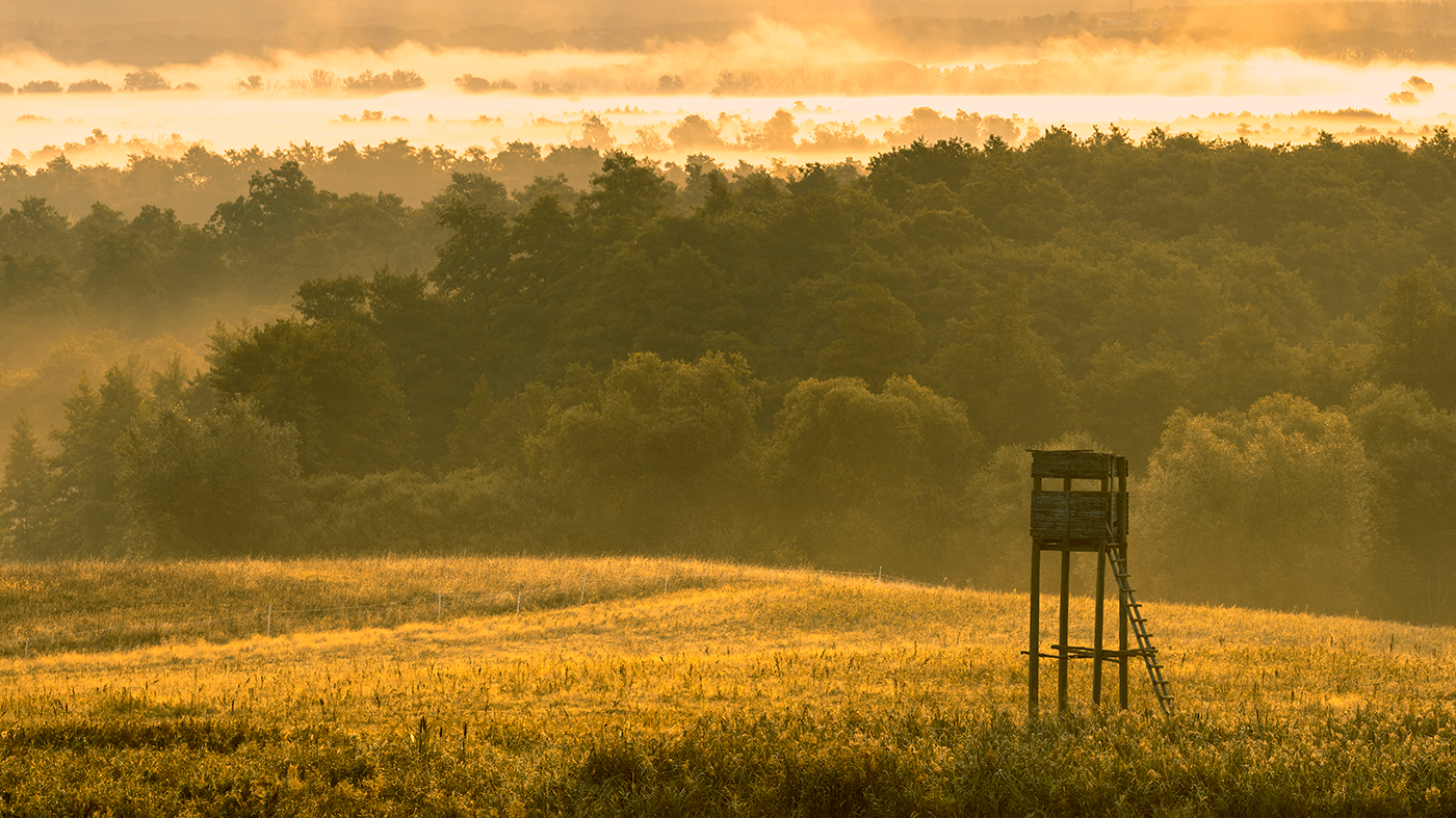 154: Hunting Europe: The Present and Future with David Scallan