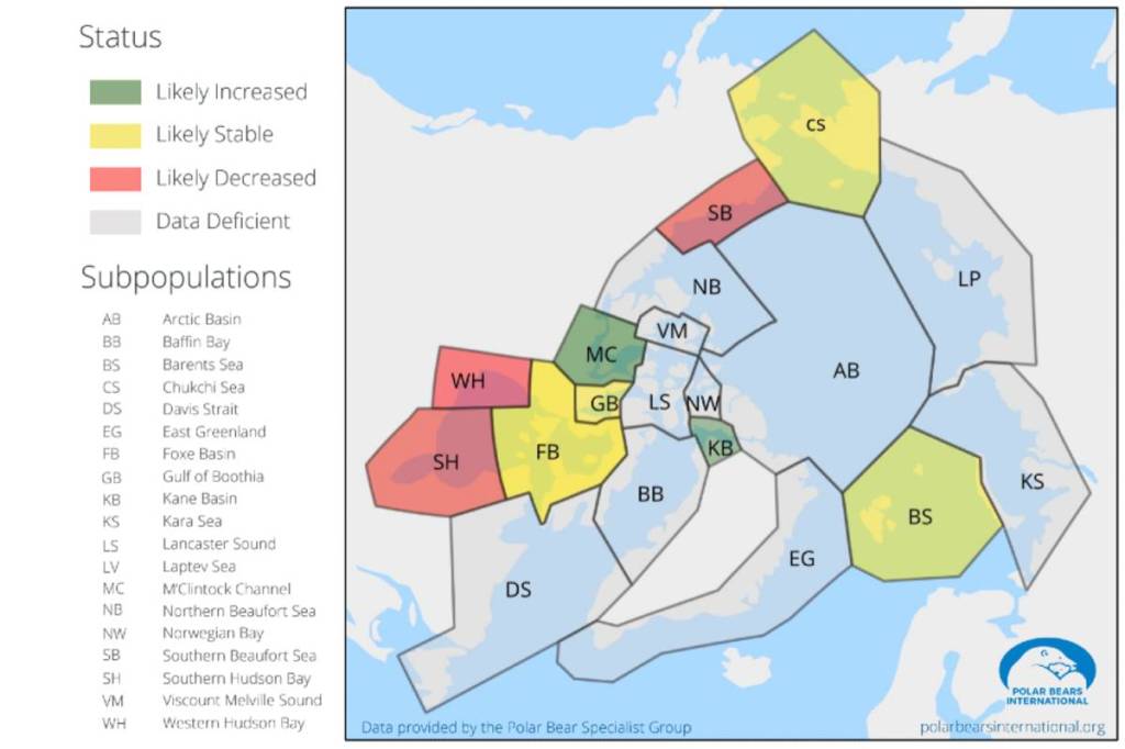 Polar bear populations and population dynamic map