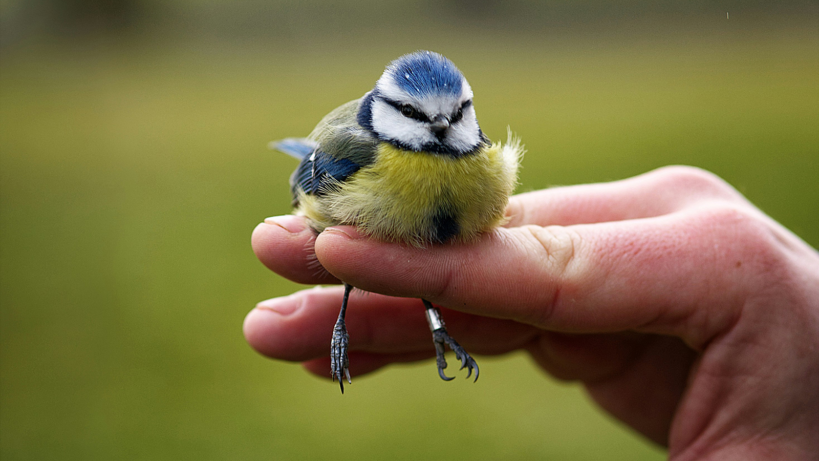 174: Not A Conservationist