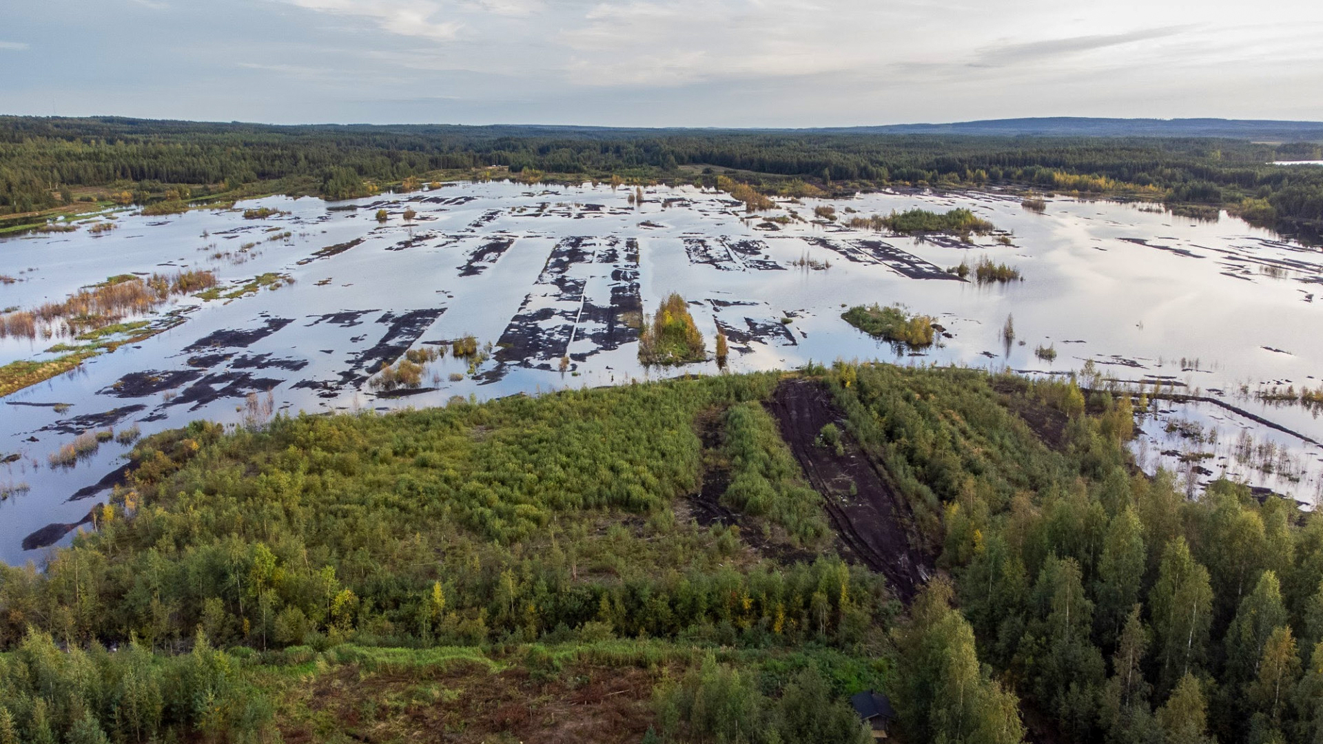 175: SOTKA Wetlands with Veli-Matti Pekkarinen and Heikki Helle