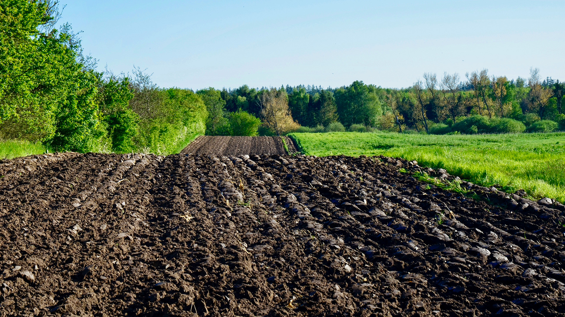 181: Farming and Soil Biodiversity with Stuart Meikle