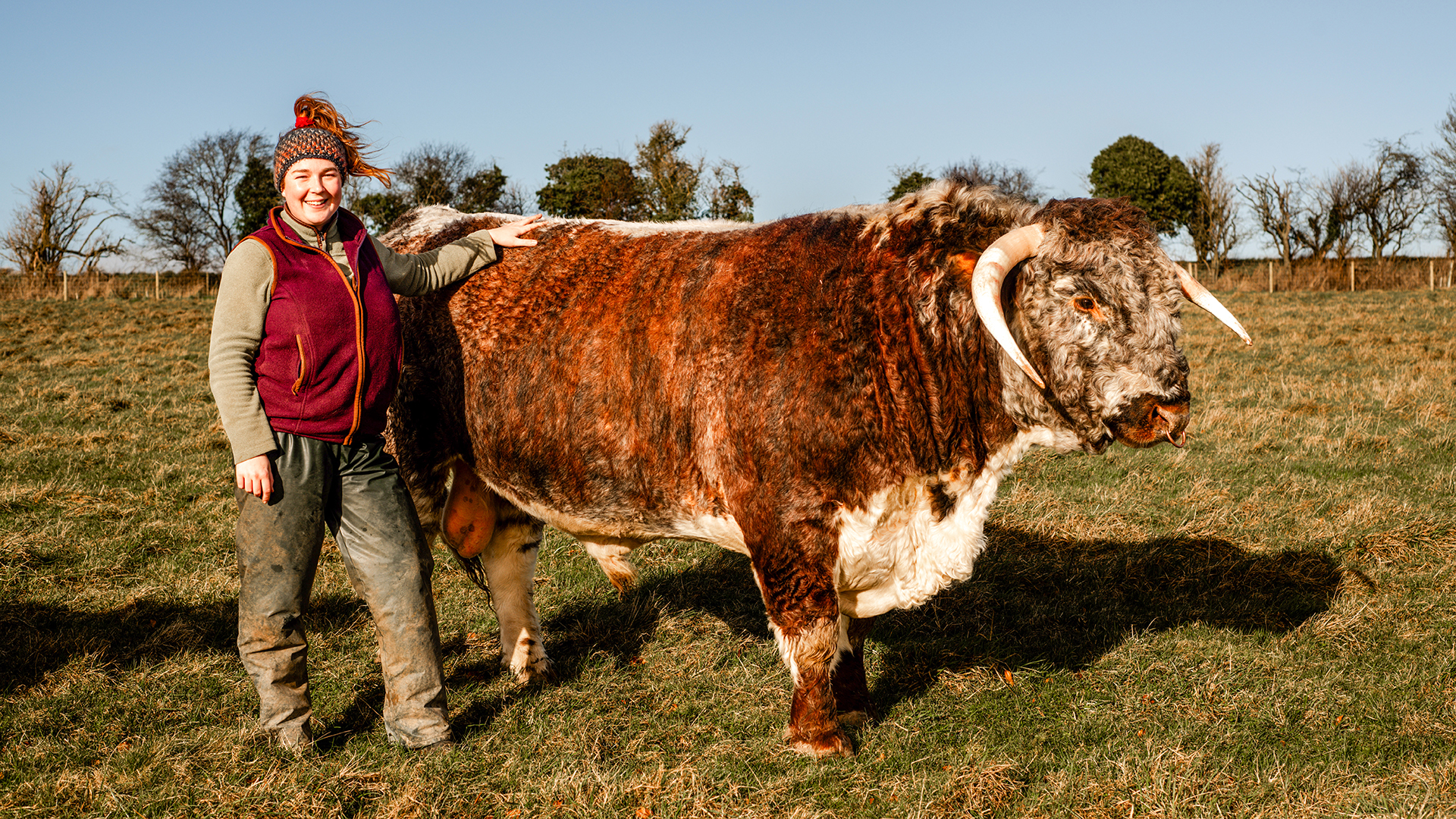 Conservation Grazing: Balancing Food Production and Biodiversity