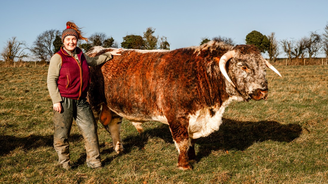 Elise Sutton on the left, a smiling woman in outdoor attire with a colourful knit hat, standing next to a large, shaggy-coated Highland cow in a grassy field. Elise is resting her hand on the cow's back. The cow, with impressive curved horns, stands prominently in the centre. The backdrop shows bare trees and a clear sky, suggesting a crisp autumn or winter day on a farm or rural setting.