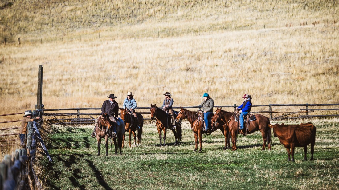 A group of five ranch hands on horseback gathered near a wooden fence in a pastoral setting. The riders, wearing traditional cowboy hats and work clothing, are mounted on brown and chestnut horses in what appears to be a working ranch environment. The scene is set against a backdrop of golden, dried grassland with a rustic wooden post-and-rail fence visible in the foreground. The lighting suggests either early morning or late afternoon, creating a warm, atmospheric quality typical of ranch life in rural countryside.