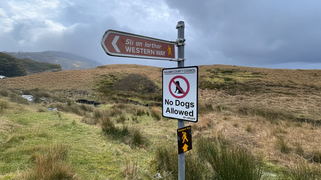 A directional sign for the Western Way (Slí an Iarthar) walking trail points left across a rugged Irish landscape of golden-brown moorland and rolling hills. Below it, a Galway County Council sign prohibits dogs from the area. The countryside stretches into the misty distance under an overcast sky, with patches of green grass in the foreground and traditional Irish stone walls visible amongst the heath.