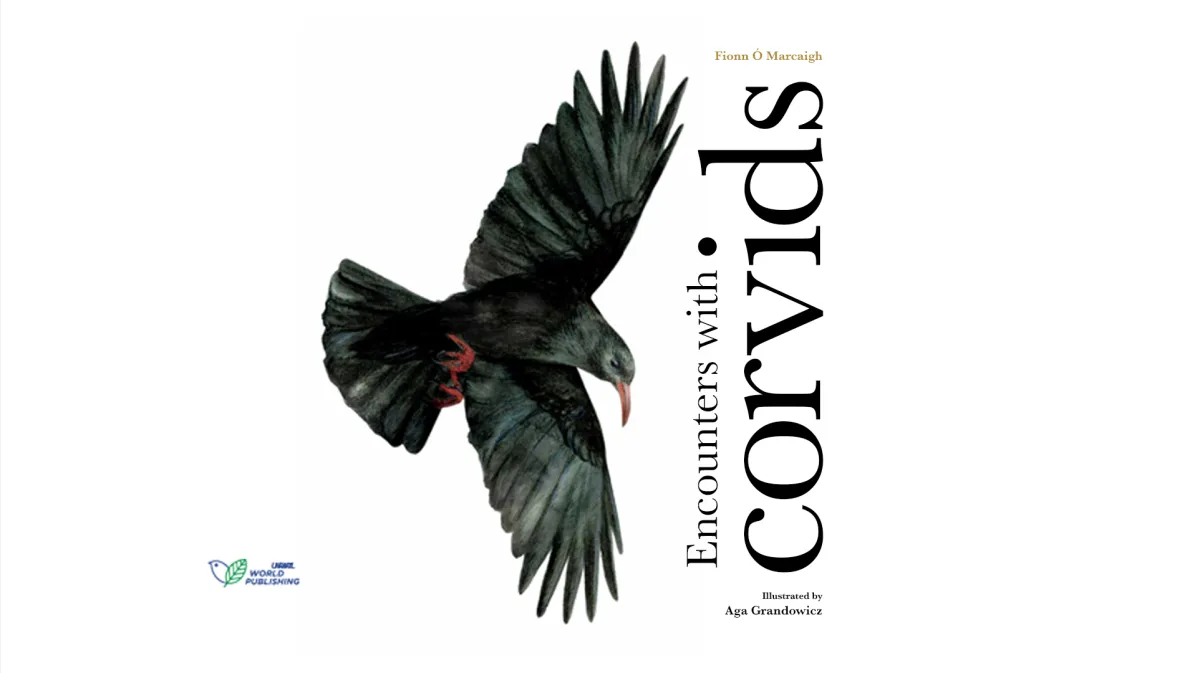 208: Encounters with Corvids – Fionn Ó&nbsp;Marcaigh
