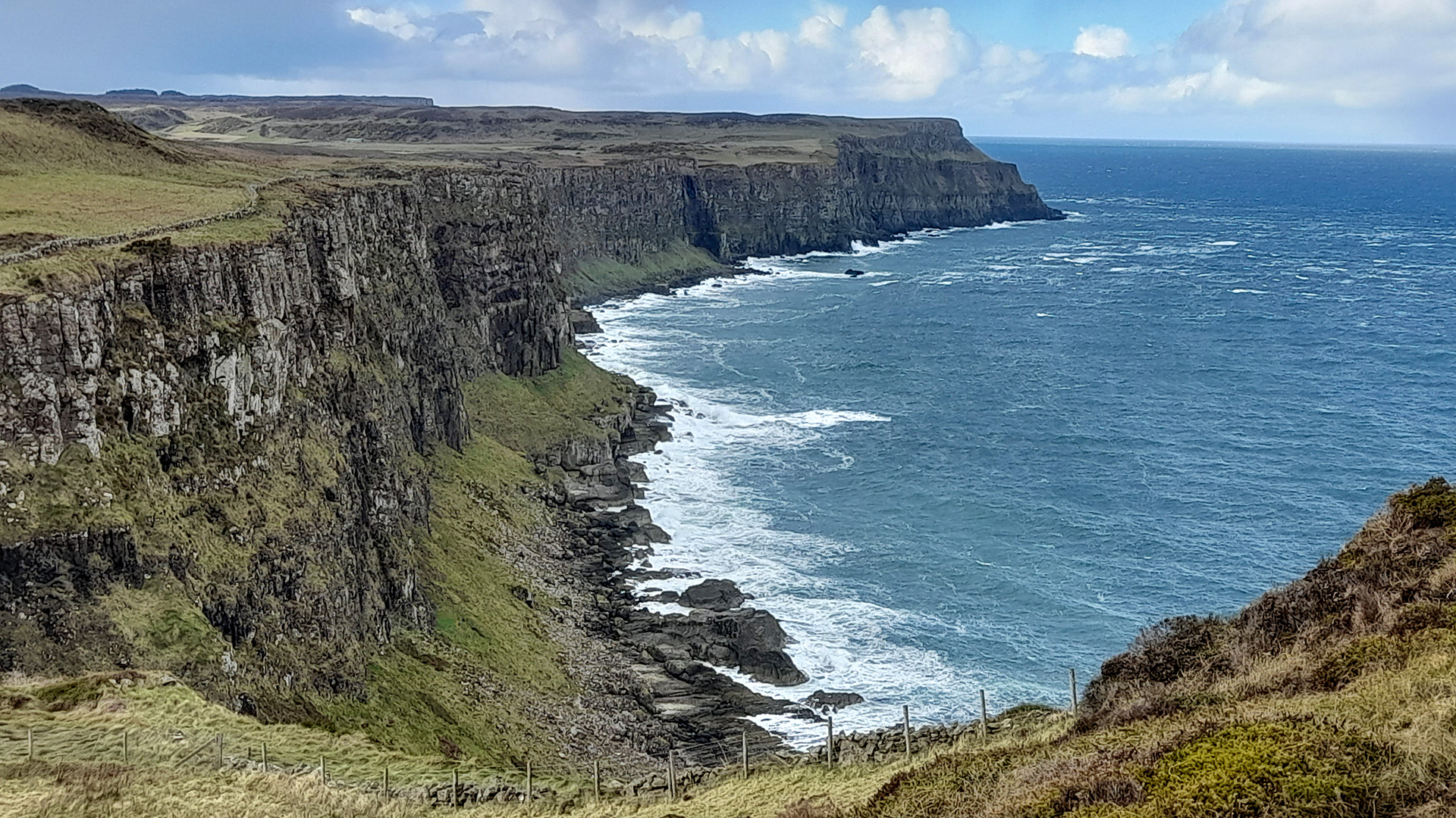 213: Ferret Eradication from Rathlin Island with David Tosh