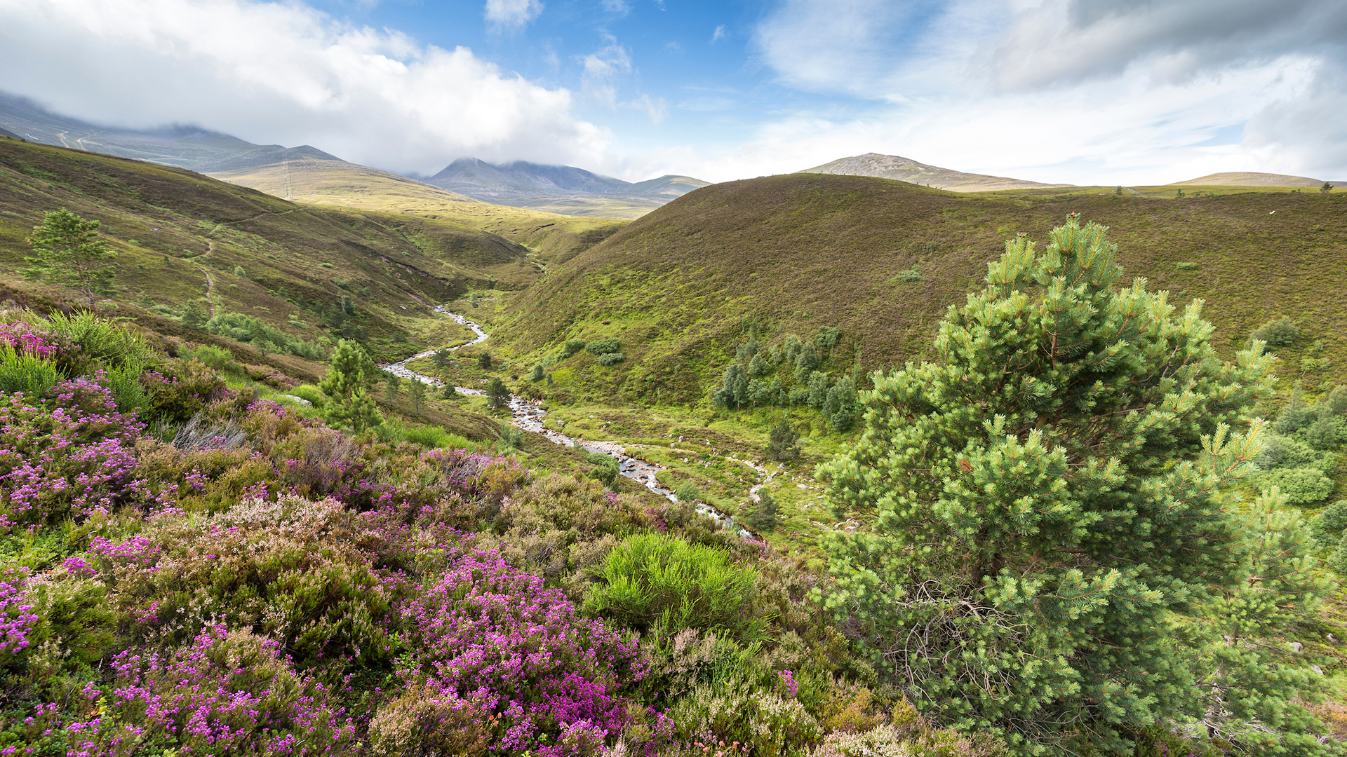 SCOTLAND: The Big Picture | Podcasthon 2026